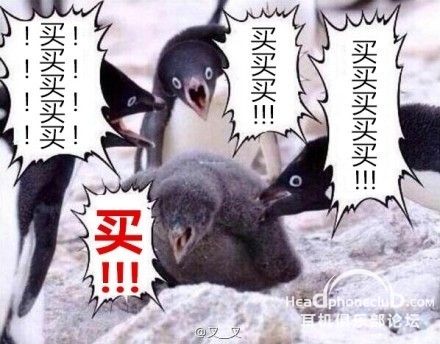 maimaimai.jpg