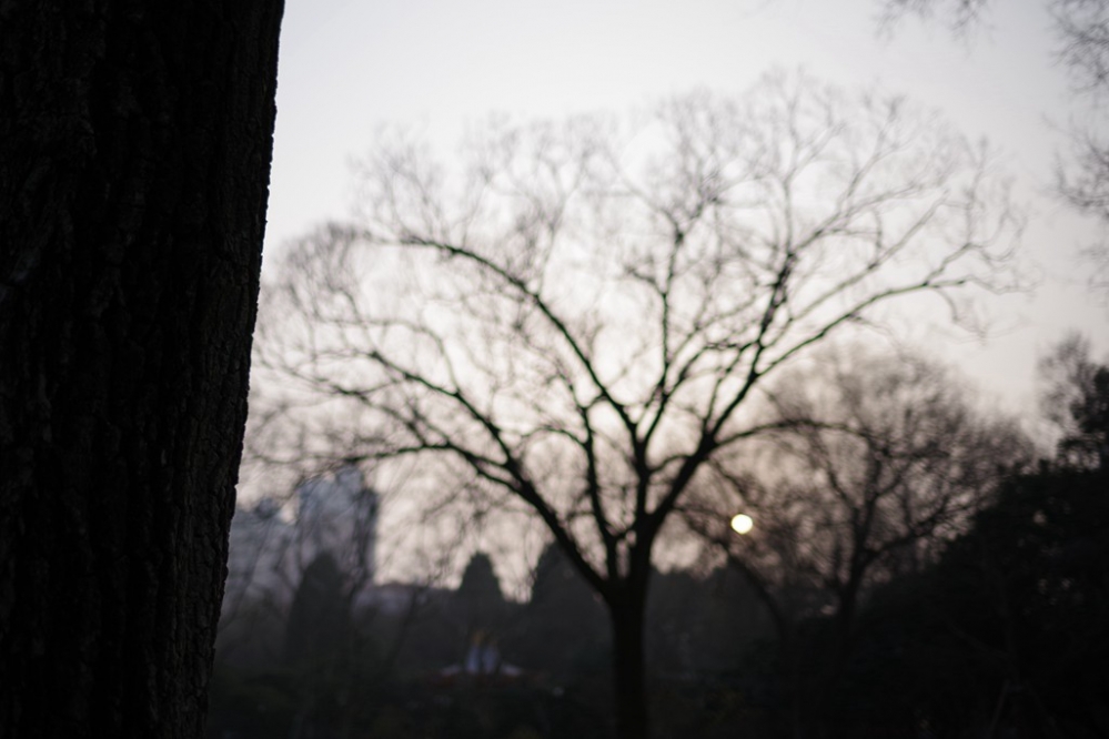 IMGP1355_.jpg