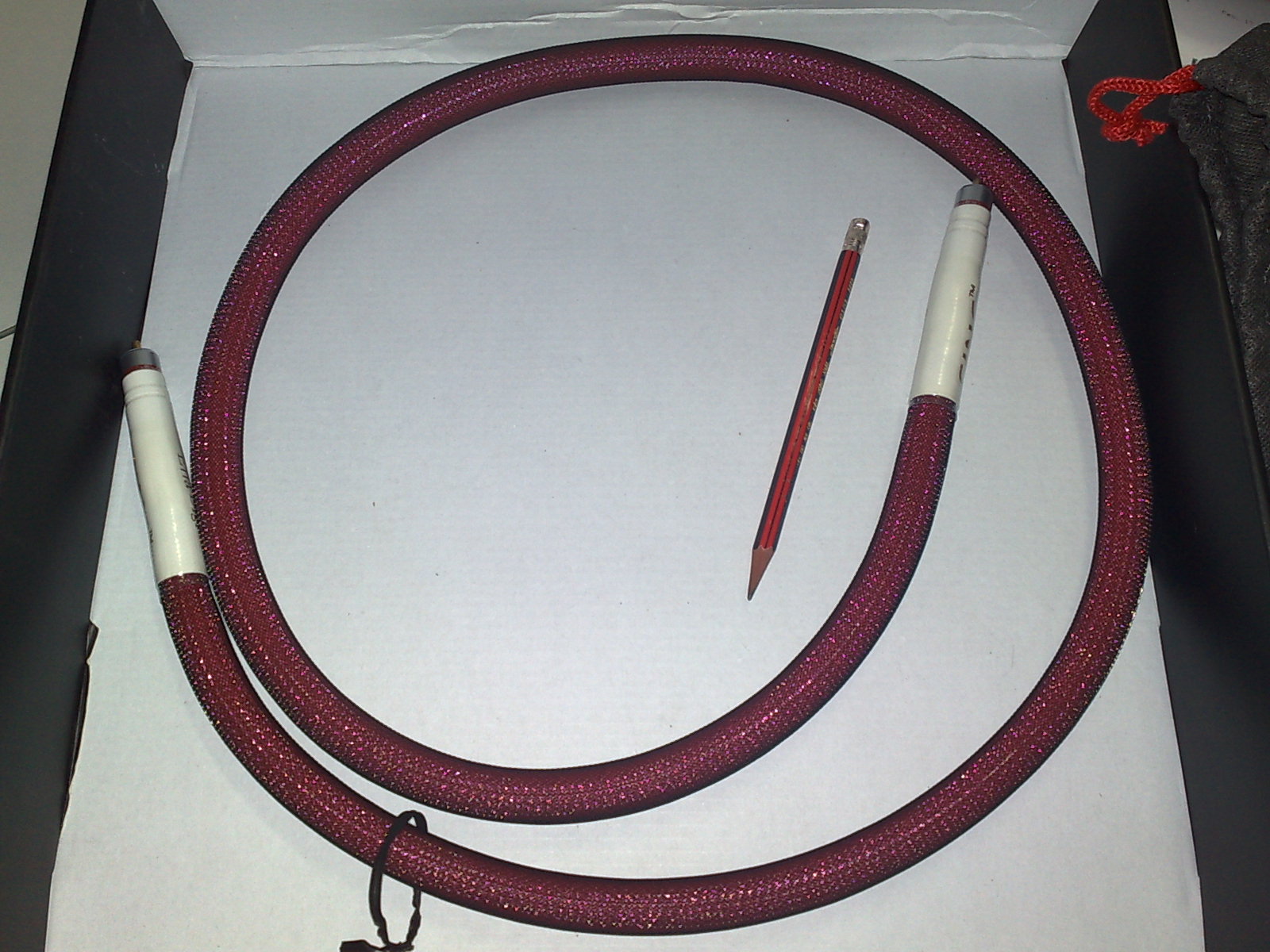 20090218822.jpg