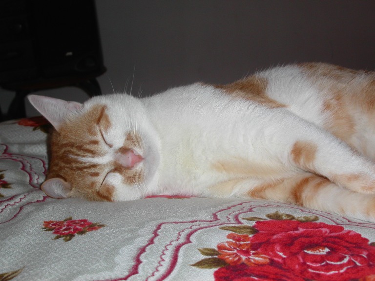 PICT0071.JPG