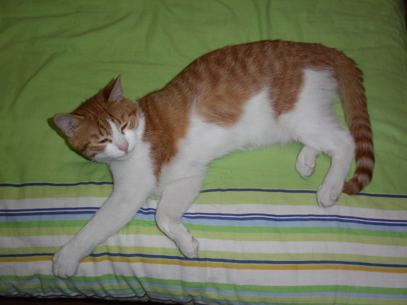 PICT0266.jpg