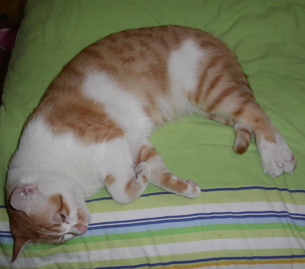 PICT0265.jpg