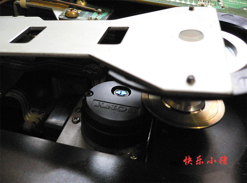 P1010487w.jpg
