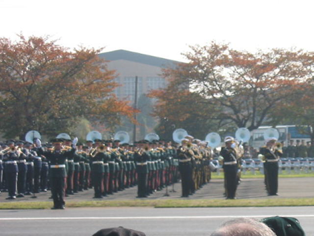 427.jpg