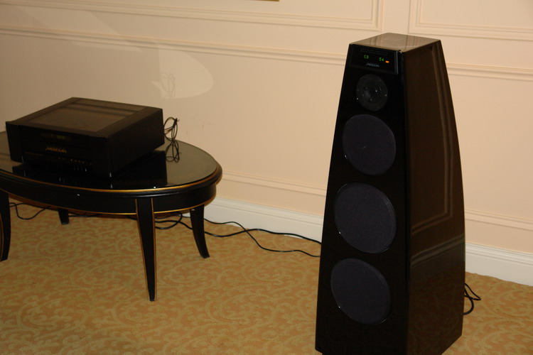 meridian dsp.jpg
