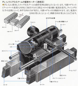 pl-l1(1).jpg