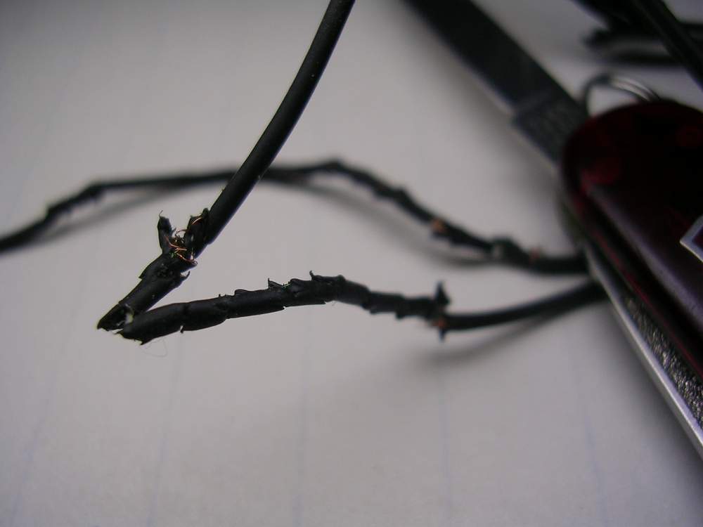 DSCN3705.JPG