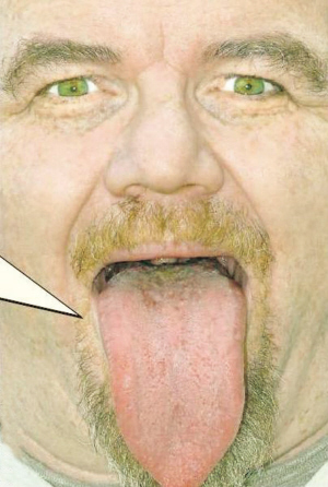 111.jpg