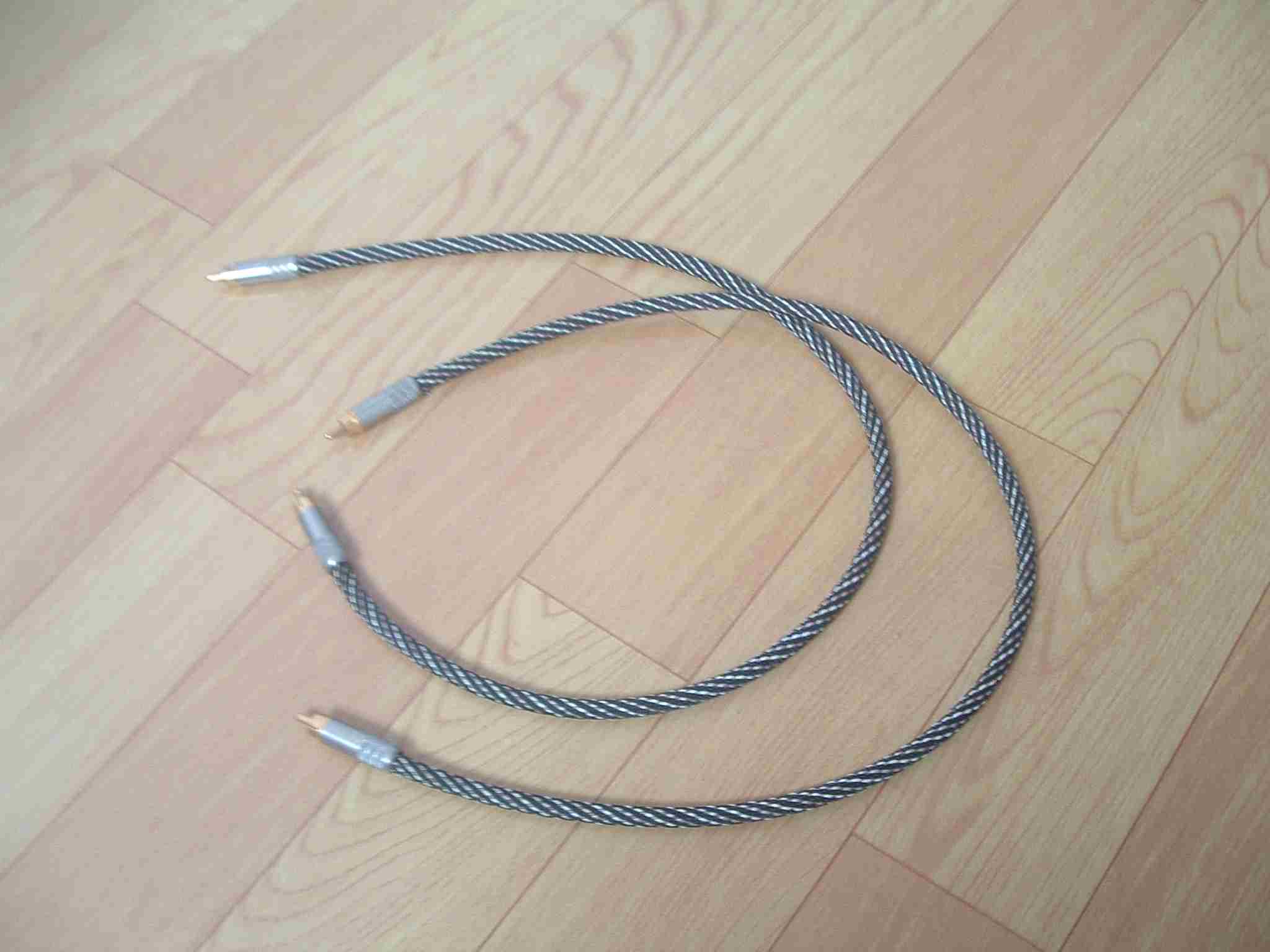 RCA2.jpg