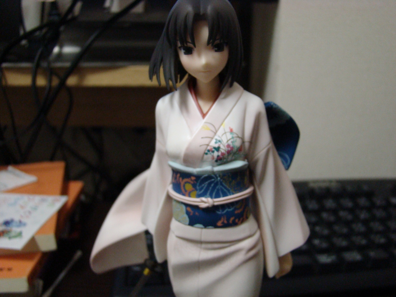 DSC01273.jpg