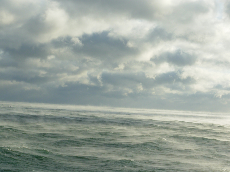 the sea.jpg