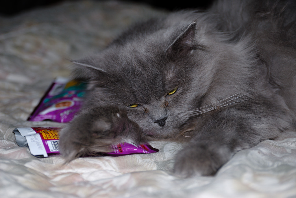 DSC_2533-2.jpg