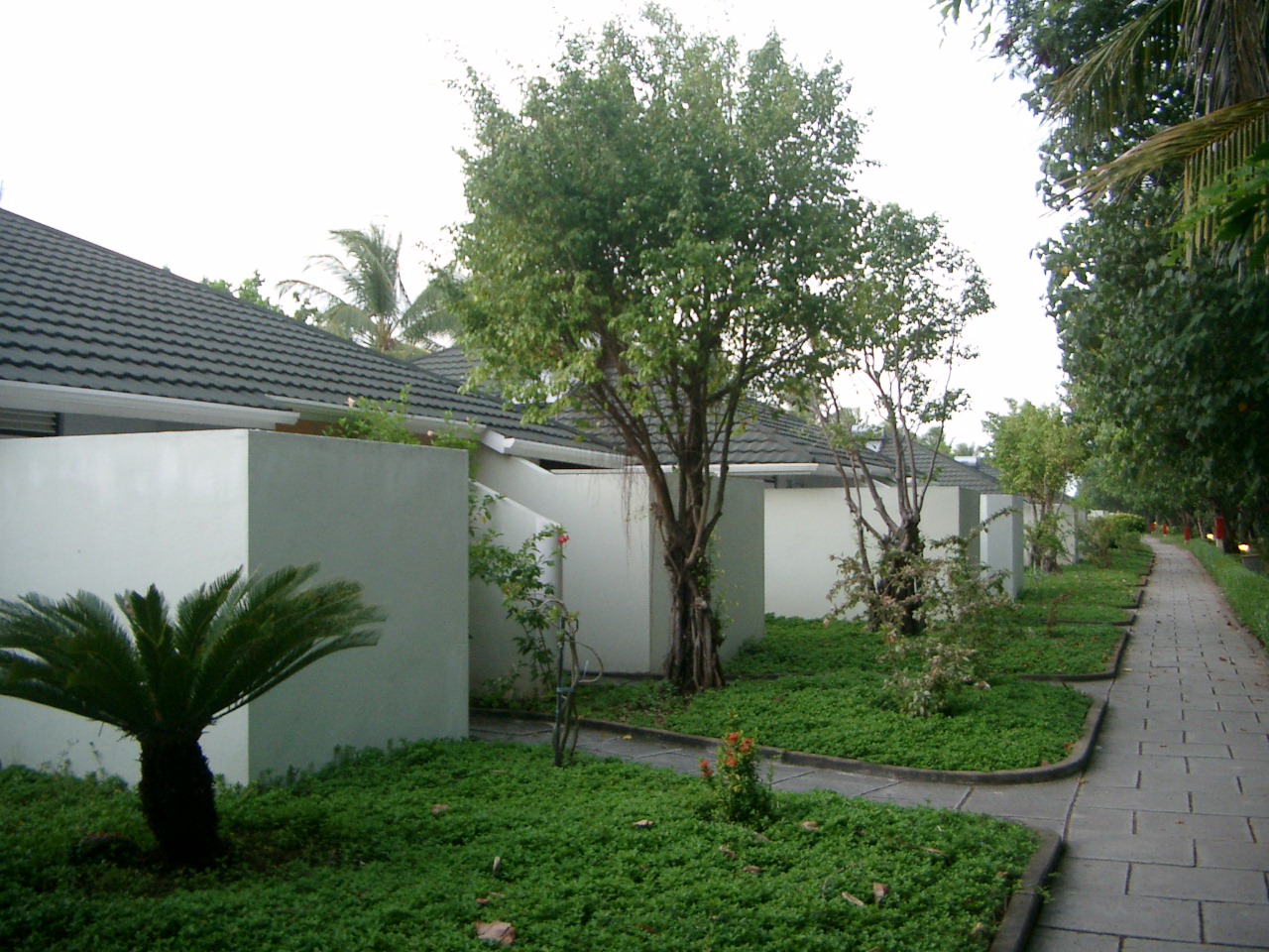 CIMG3720.JPG
