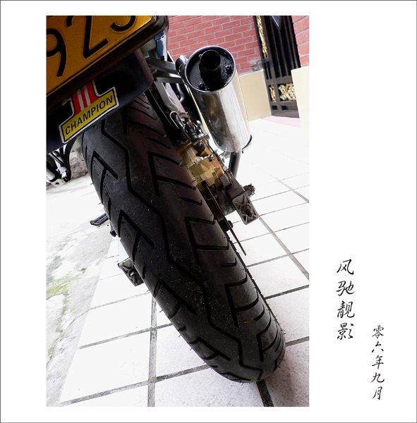 P1010143w.jpg