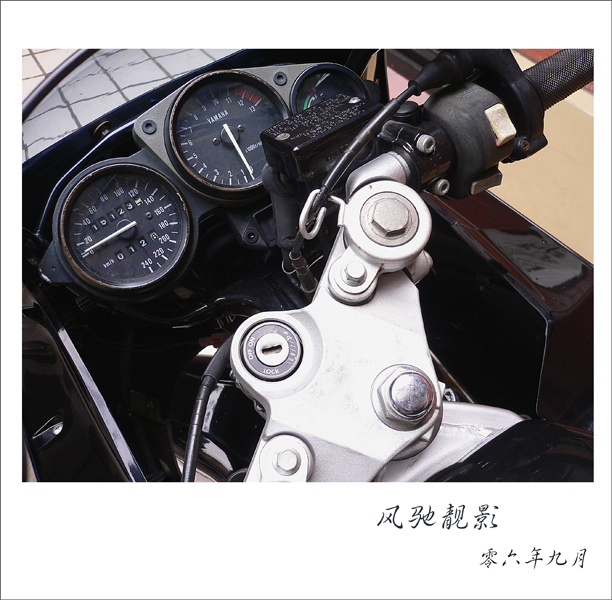 P1010145w.jpg