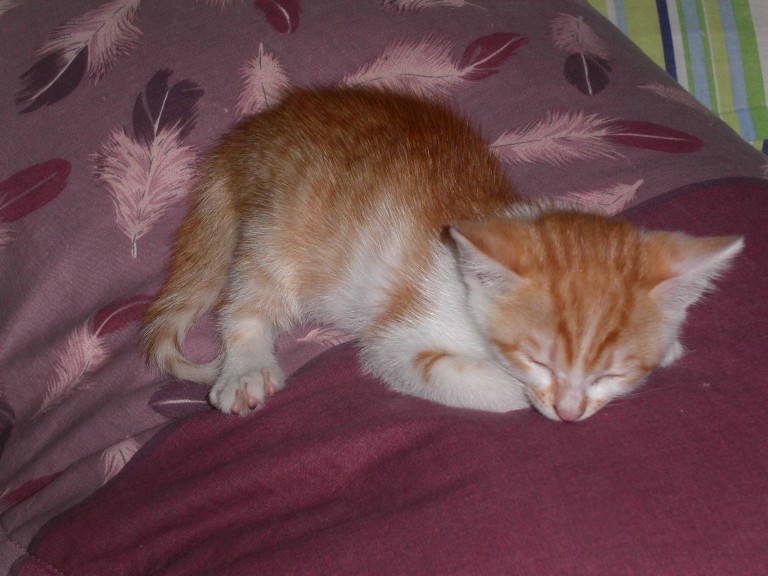 PICT0161.JPG