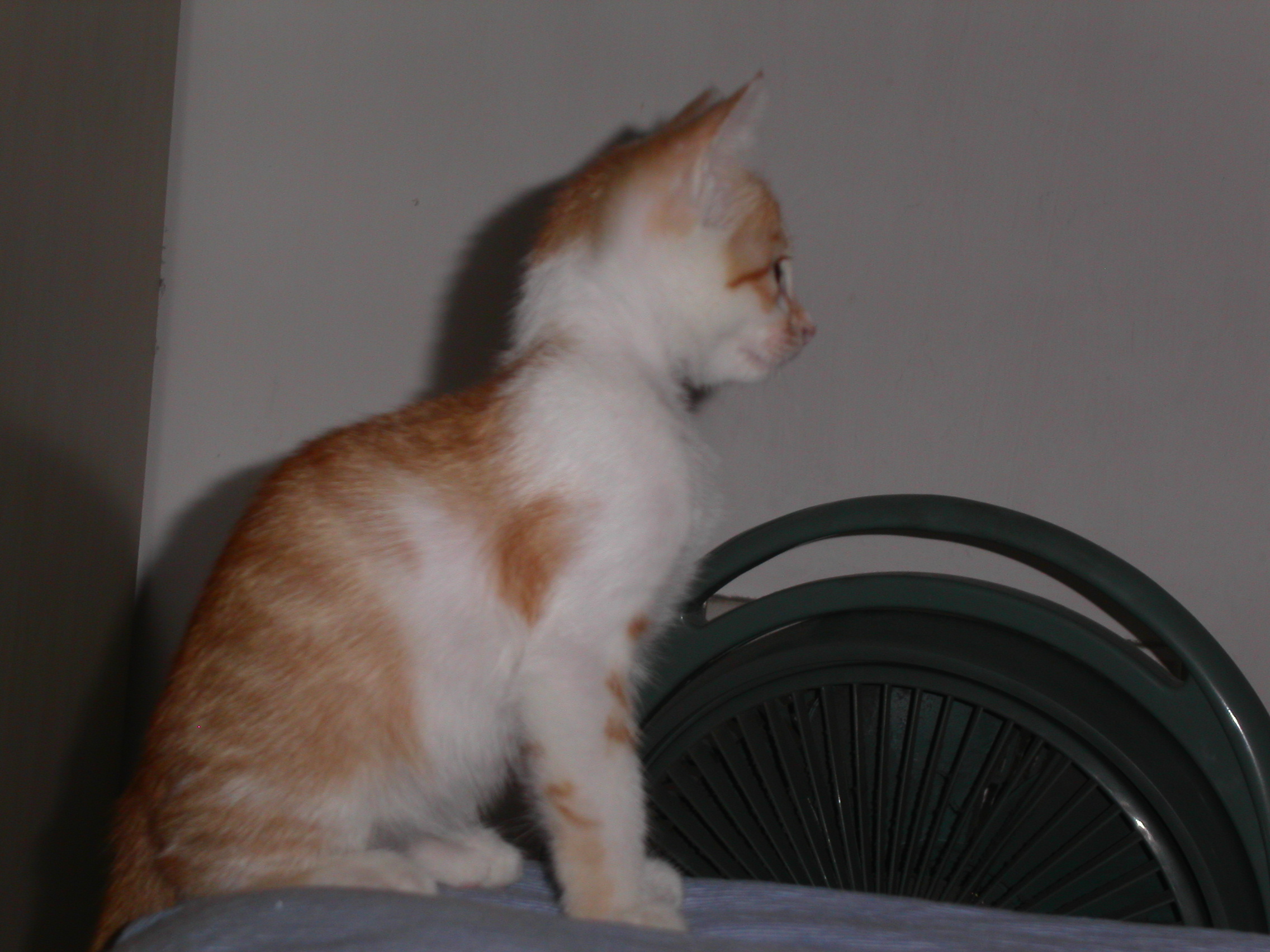 PICT0199.JPG