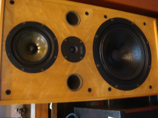SP100-1.jpg