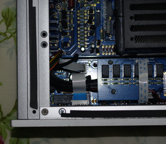 IMGP5165.jpg
