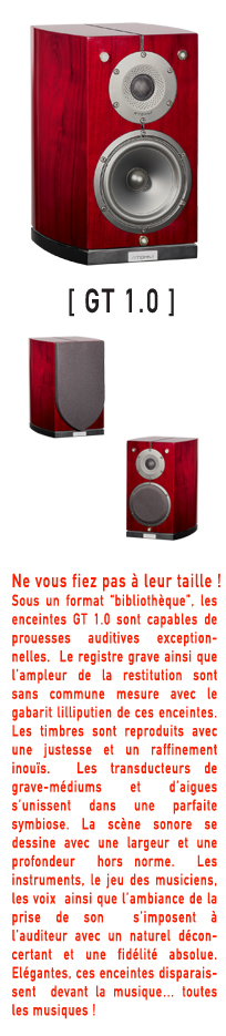 page%20GT1.jpg