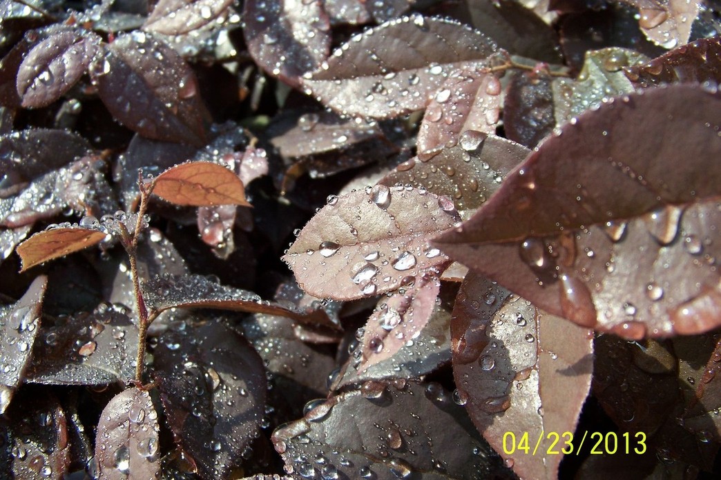 100_0108.JPG