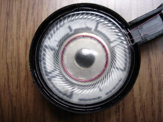 2_23957.jpg