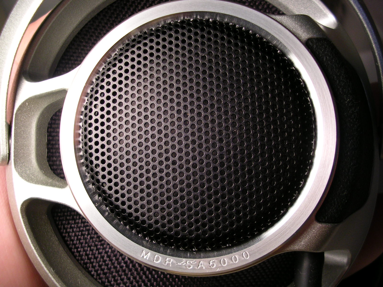 DSCN1002.JPG