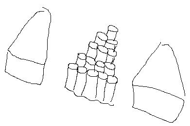 δ.jpg