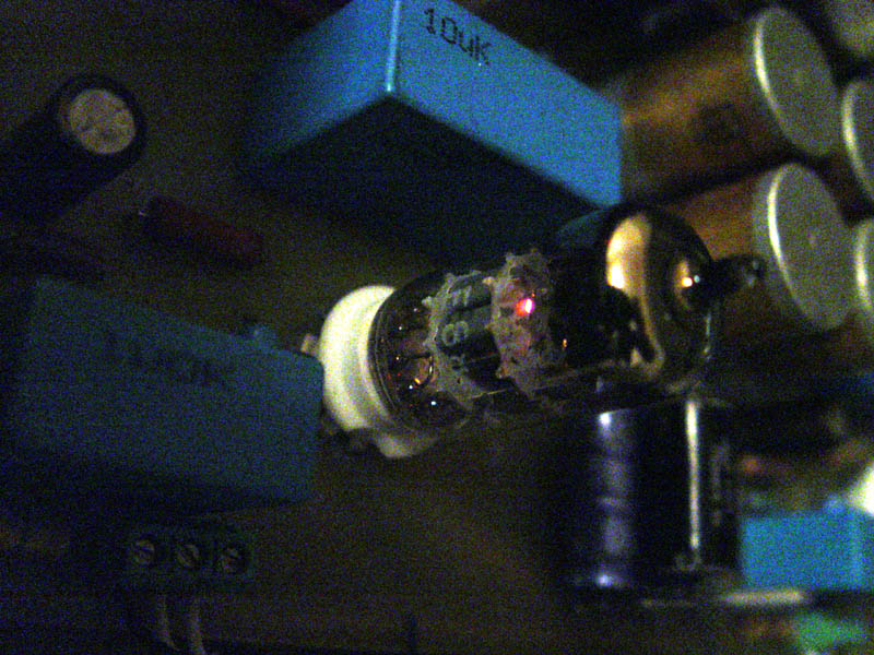 DSC01511.jpg