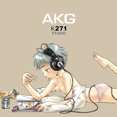 AKGK271b.jpg