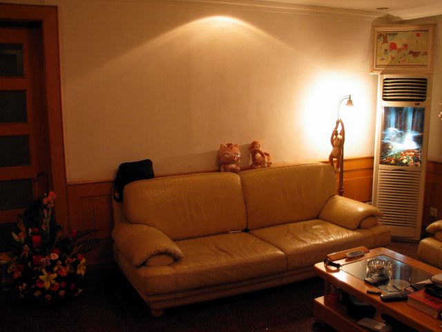 shujia duimian.JPG