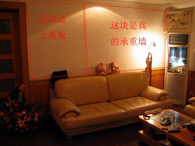 shujia duimian.JPG