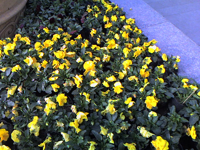 Ƭ-0044.jpg
