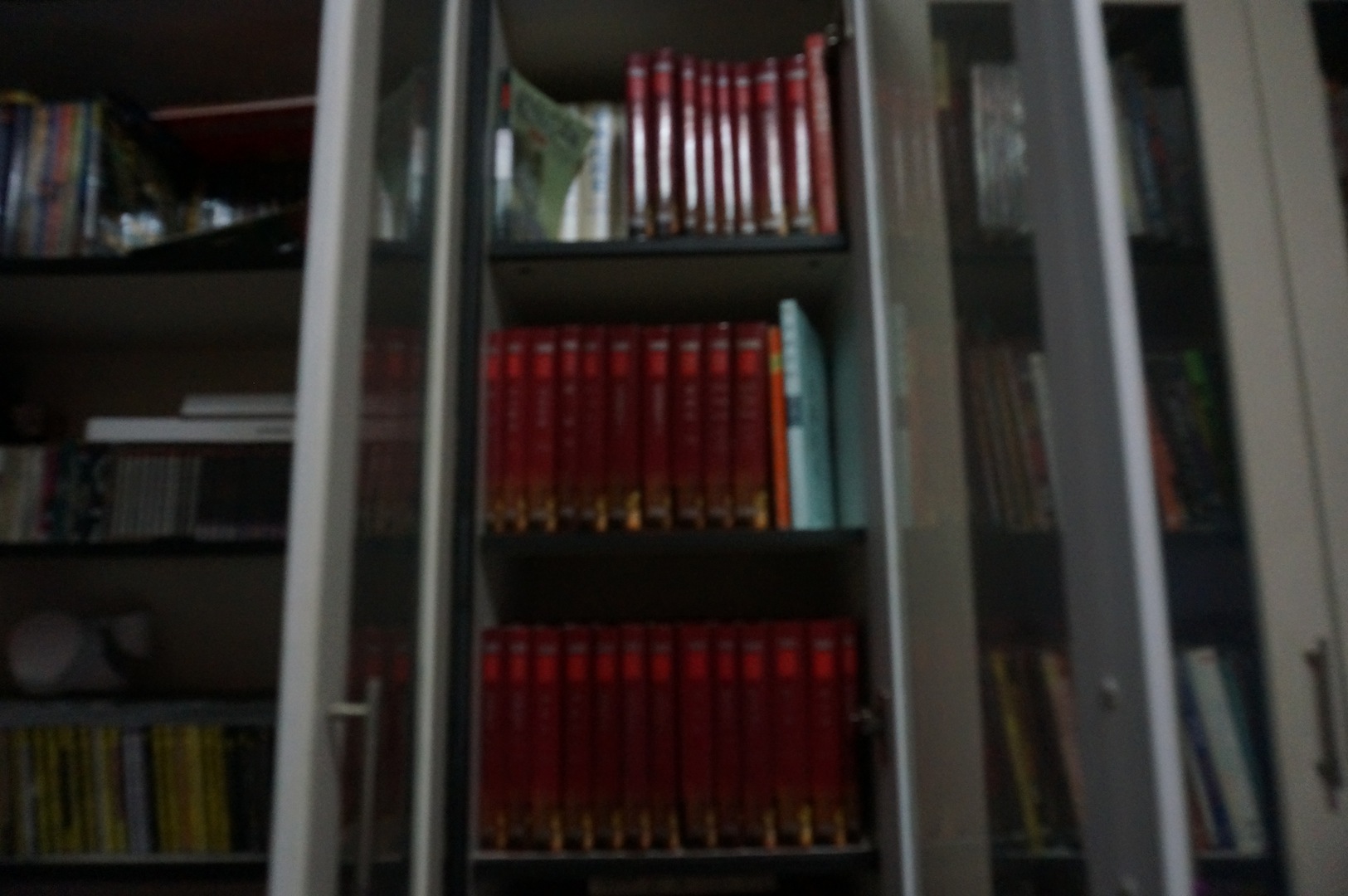 DSC00465.JPG