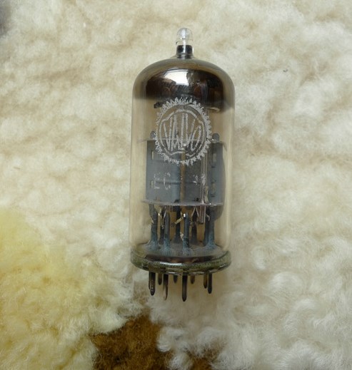 ecc81