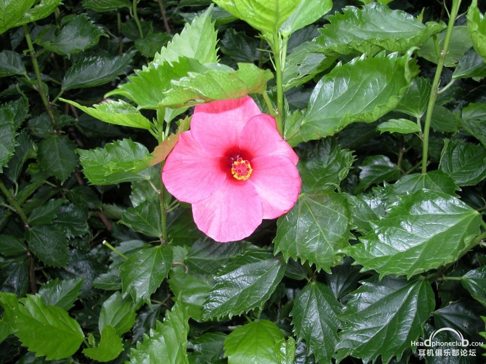 DSCN0405.jpg