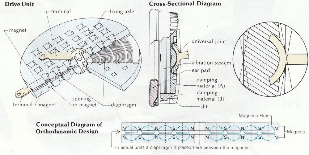 6e7a544d_yamaha_ortho.jpg