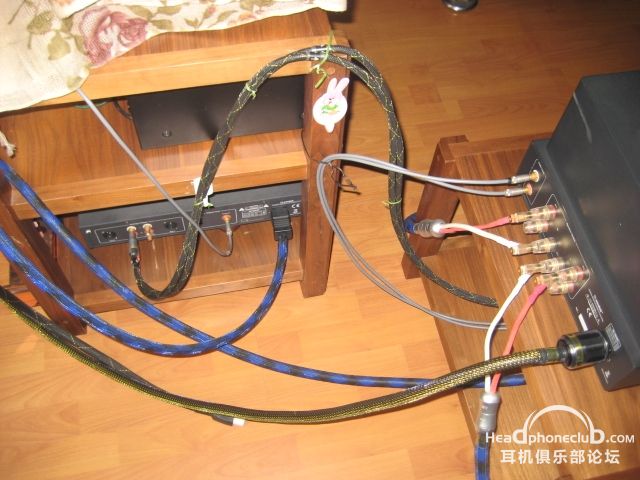 Ƭ 1246.jpg