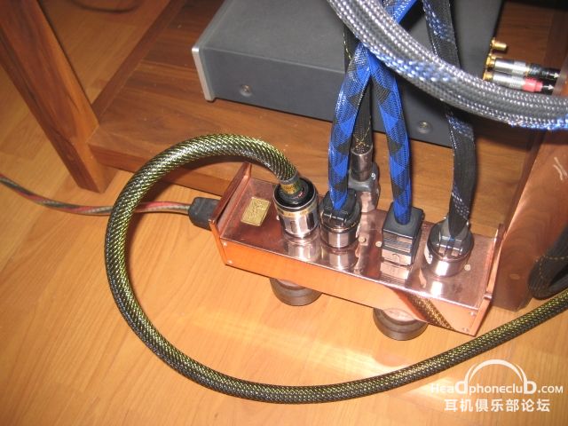 Ƭ 1247.jpg