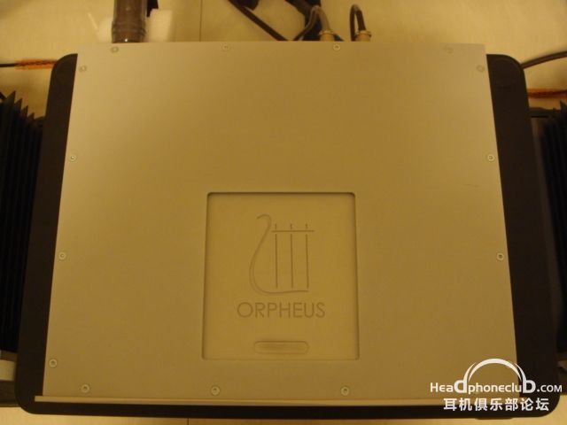 t2.JPG
