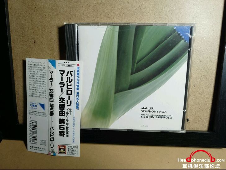 TB24CmfoJBopuFjSZPcXXc9EpXa_!!0-fleamarket.jpg_728x728.jpg
