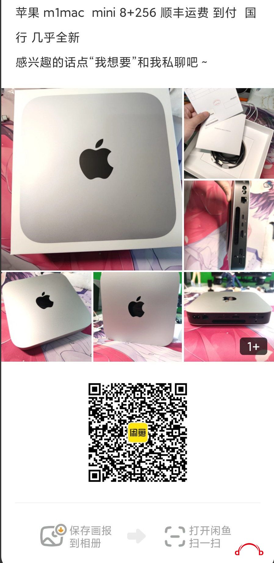 2395397869986211.jpg