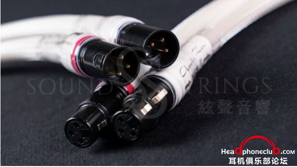 ǰһ仯Acoustic Zen Wow XLR Ѷ