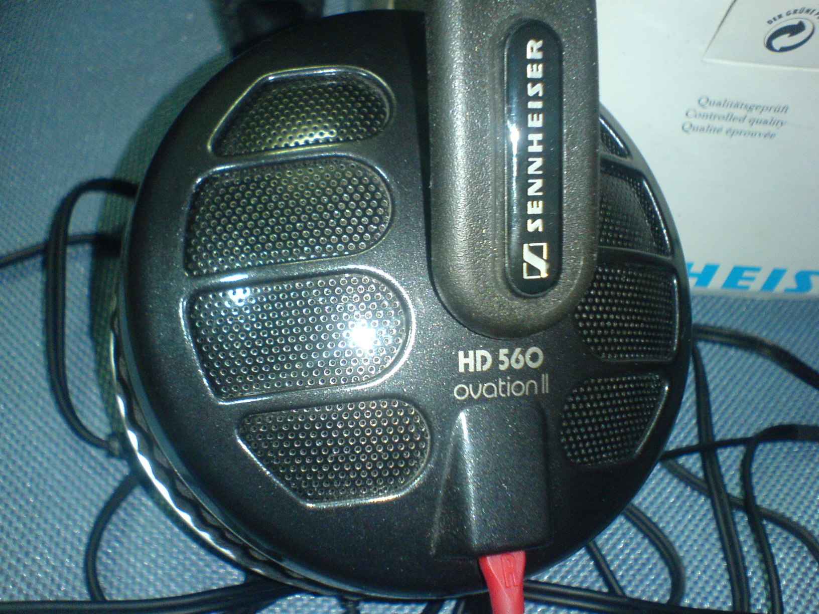 DSC00300.JPG