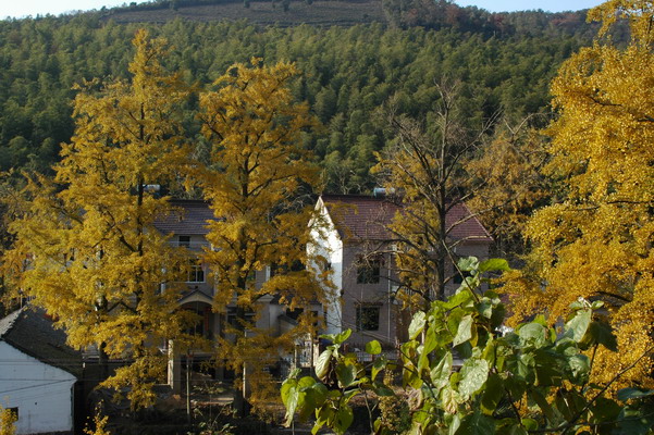 Village.jpg