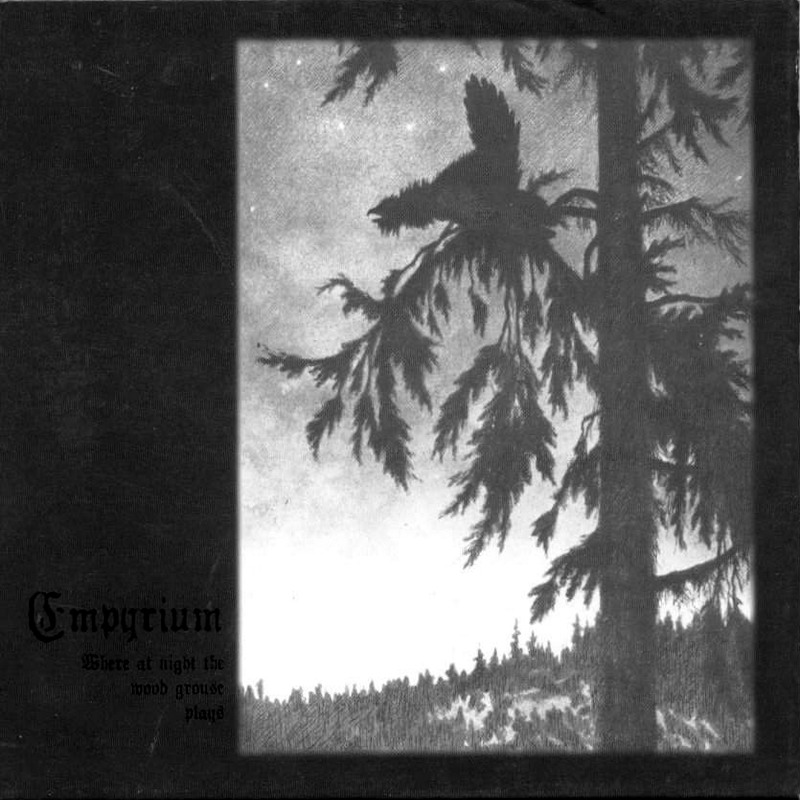 WhereAtNightTheWoodGrousePlays.jpg