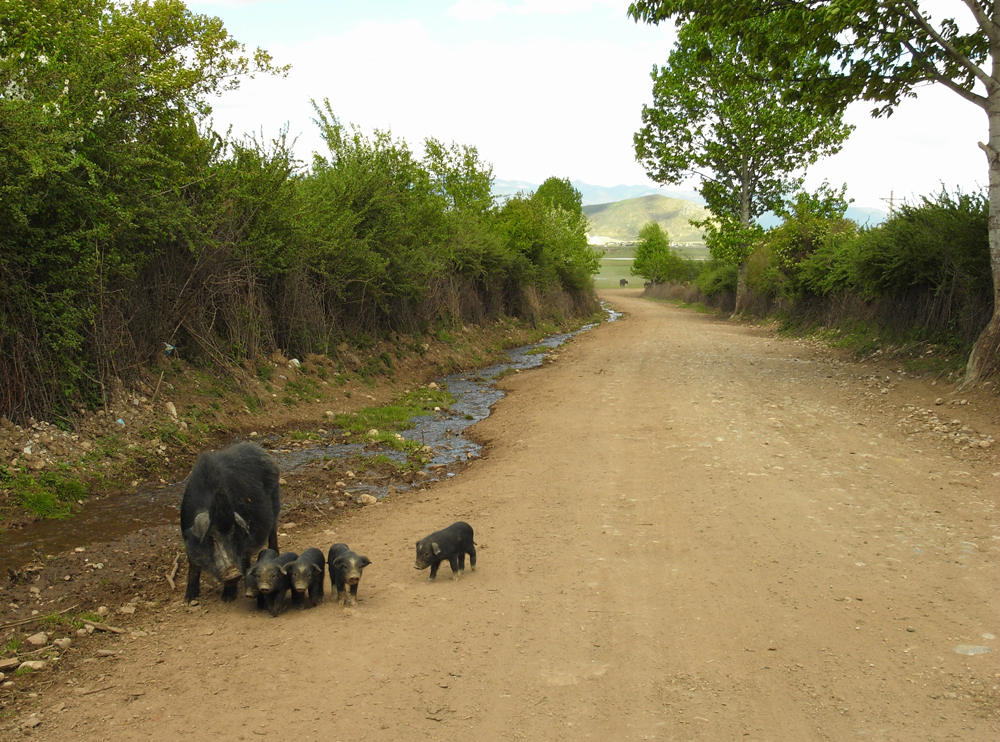 20070604_9426db734bfbe9bb5e545DsSd5OtbSkk.jpg
