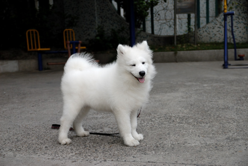 DSC_6581-1.jpg