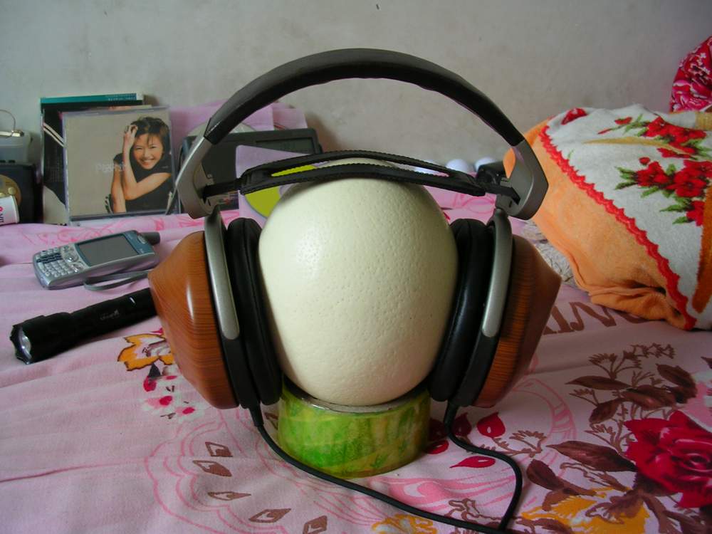 DSCN3562.JPG