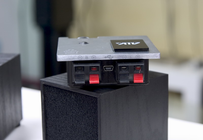 w1 back s.jpg